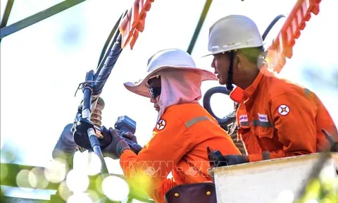 Những chỉ đạo, điều hành của Chính phủ, Thủ tướng Chính phủ nổi bật tuần từ 5 - 9/6