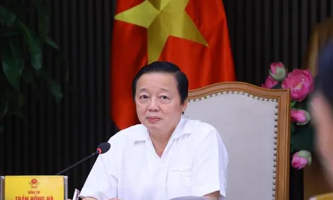 Cần có các cơ chế sáng tạo trong thí điểm năng lượng mặt trời, năng lượng tái tạo