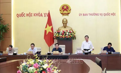 Ủy ban Thường vụ Quốc hội cho ý kiến về dự án Luật Bảo vệ quyền lợi người tiêu dùng (sửa đổi)