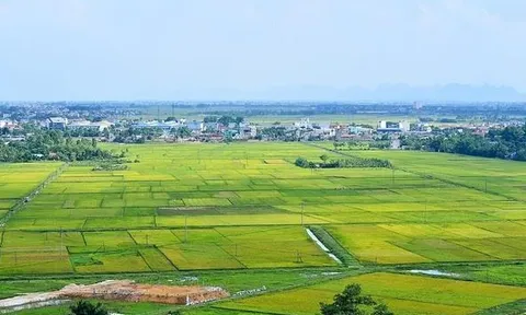 Đề xuất sửa đổi phương pháp định giá đất, điều chỉnh bảng giá đất