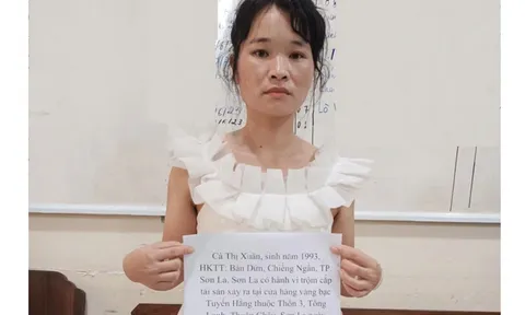 Bắt 'nữ quái' vờ mua vàng để trộm cắp tài sản ở Lạng Sơn