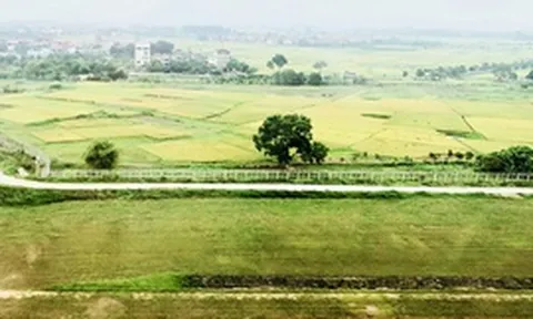 Chỉ đạo, điều hành của Chính phủ, Thủ tướng Chính phủ ngày 17/6