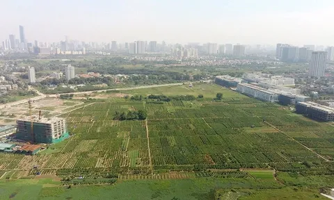 Đất bỏ hoang bao nhiều năm thì mất quyền sử dụng?
