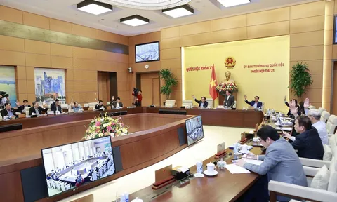 Phân công cơ quan trình, cơ quan chủ trì thẩm tra các dự án thuộc Chương trình xây dựng luật, pháp lệnh