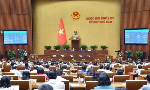 Quốc hội thông qua Luật Đấu thầu (sửa đổi)