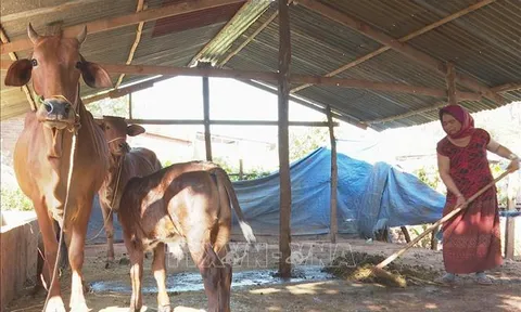 Hoàn thiện khuôn khổ pháp lý về tổ chức, hoạt động của Quỹ Hỗ trợ nông dân