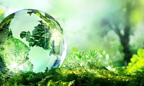 Định mức hoạt động thực hiện đánh giá môi trường chiến lược của quy hoạch