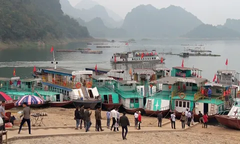 Giám đốc bến cảng du lịch Thung Nai bị khởi tố về tội 'Trốn thuế'