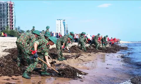 Ban hành 11 quy trình thực hiện thủ tục hành chính về bảo vệ môi trường