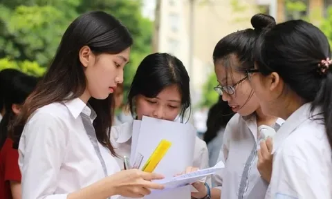Phê bình sự phê bình đề thi truyện ngắn 'Vợ nhặt'
