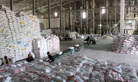 Công điện của Thủ tướng về thúc đẩy sản xuất, xuất khẩu gạo