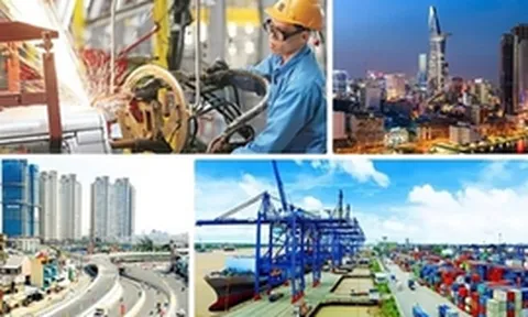 Thông tin chỉ đạo, điều hành của Chính phủ, Thủ tướng Chính phủ ngày 5/7