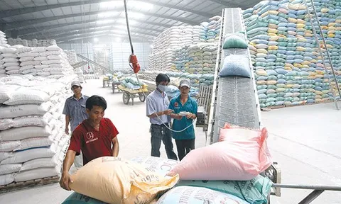 Đề xuất định mức chi phí nhập, xuất hàng dự trữ quốc gia