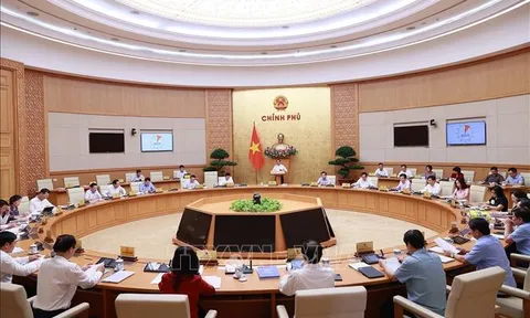 Tập trung nguồn lực cao nhất, thực hiện các dự án Luật đúng tiến độ