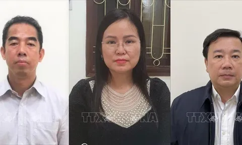 Vụ 'chuyến bay giải cứu': Gần 120 luật sư bào chữa cho 54 bị cáo