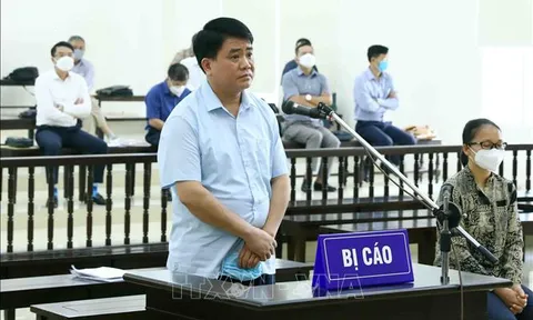 Truy tố cựu Chủ tịch UBND TP Hà Nội Nguyễn Đức Chung trong vụ nâng khống giá cây xanh