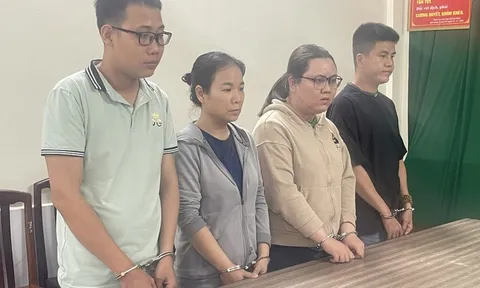TP.HCM: Nhân viên cấu kết kế toán chiếm đoạt hơn 100 tỷ đồng của công ty