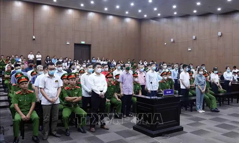 Vụ 'Chuyến bay giải cứu': Các bị cáo thừa nhận vi phạm nhận hối lộ