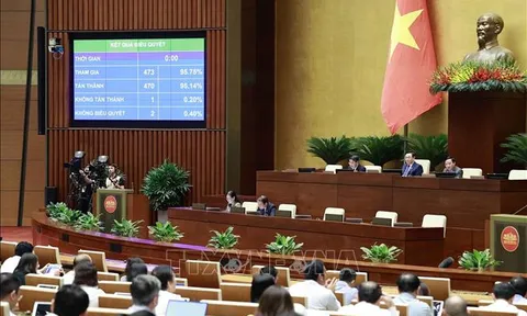 Lá phiếu tín nhiệm và những góc nhìn