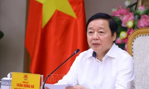 Kiện toàn Ban Chỉ đạo COP26