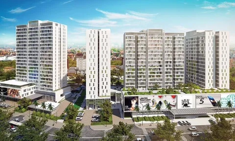 Căn hộ chung cư chưa sử dụng chủ sở hữu có phải đóng phí dịch vụ?