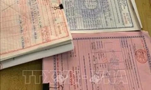 Xử lý nghiêm hành vi mua bán, sử dụng hóa đơn bất hợp pháp