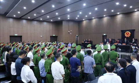 Vụ 'Chuyến bay giải cứu': Các bị cáo xin giảm nhẹ hình phạt