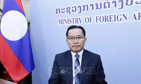 Việt Nam có nhiều đóng góp quan trọng vào sự phát triển của ASEAN