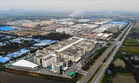 50 năm quan hệ Việt Nam - Singapore: Đối tác ngày càng tin cậy, bền vững