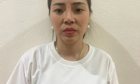 Bắt nữ giám đốc điều hành đường dây trộm cắp tại Công ty Nhiệt điện BOT Hải Dương