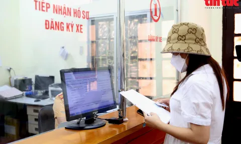 Cục Cảnh sát giao thông hướng dẫn cách tham gia đấu giá biển số xe ô tô