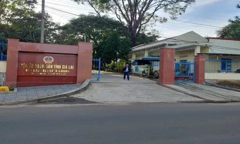 Bắt một thẩm phán TAND tỉnh Gia Lai