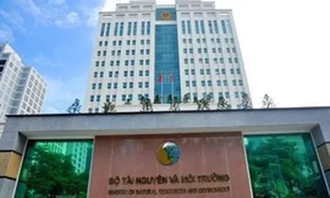 Chỉ đạo, điều hành nổi bật của Chính phủ, Thủ tướng Chính phủ ngày 7/8