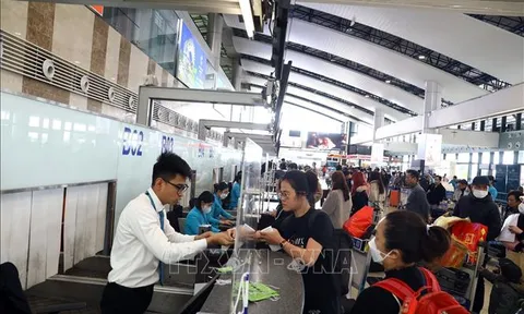 Hai luật sẽ có hiệu lực thi hành kể từ ngày 15/8/2023