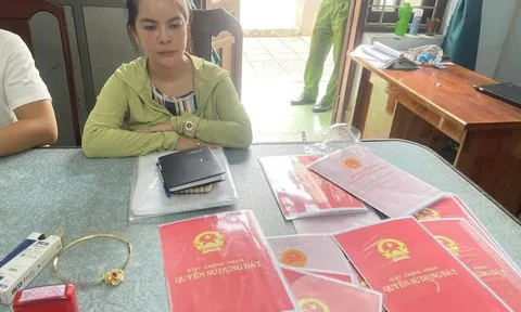 Khởi tố cô gái 'thuê người làm đám cưới giả, lừa đảo tiền nhà chồng'