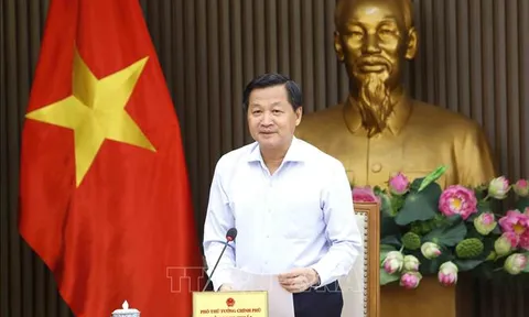 Thành lập 2 Hội đồng điều phối vùng đồng bằng sông Cửu Long và trung du, miền núi phía Bắc