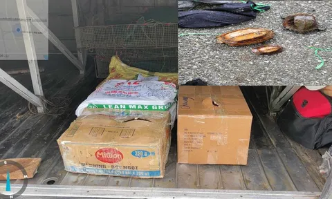 Phát hiện xe khách chở động vật quý hiếm, nguy cấp