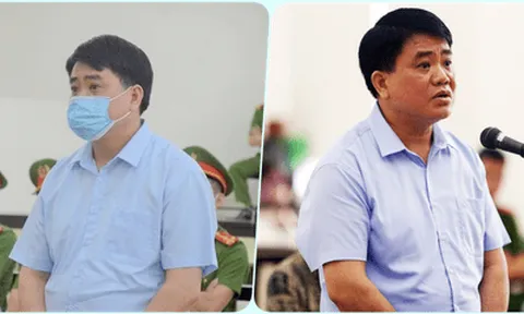 Hôm nay (25/8), cựu Chủ tịch Hà Nội Nguyễn Đức Chung hầu tòa vụ nâng khống giá cây xanh