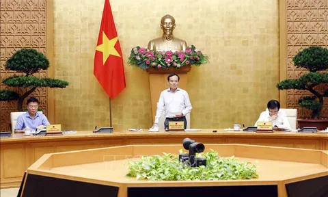 Rà soát hệ thống văn bản quy phạm pháp luật tập trung vào vấn đề lớn, còn đang vướng mắc