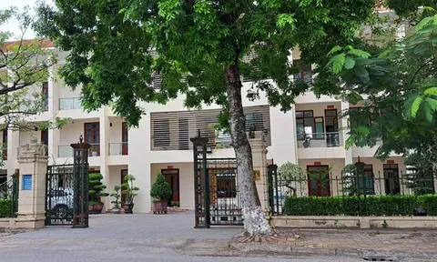 Tạm đình chỉ công tác Phó Giám đốc Sở VH-TT &DL Thái Bình vì đánh bạc