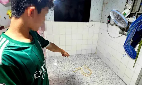 Bắt khẩn cấp người chồng hành hạ vợ dã man vì ghen tuông
