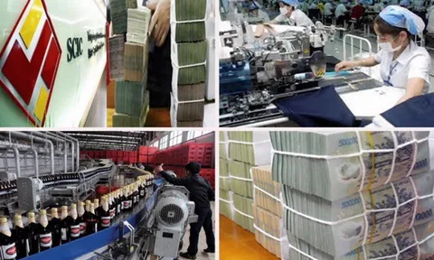 Đề xuất 7 hành vi bị cấm trong quản lý và đầu tư vốn nhà nước tại doanh nghiệp