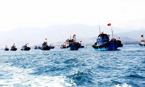 Quyết tâm xử lý dứt điểm vi phạm về khai thác hải sản bất hợp pháp
