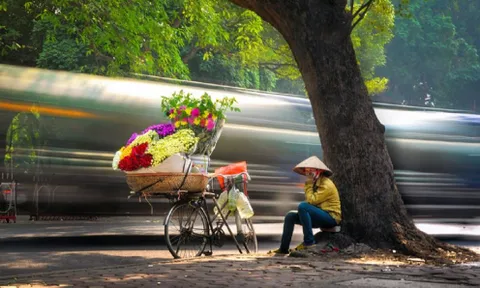 Chuyện những xe hoa trên phố