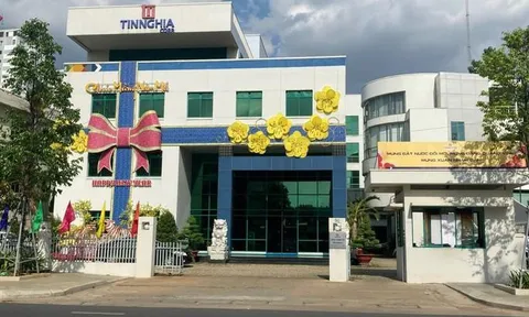 Đồng Nai: Khởi tố vụ án liên quan đến quá trình cổ phần hóa Tổng Công ty Tín Nghĩa