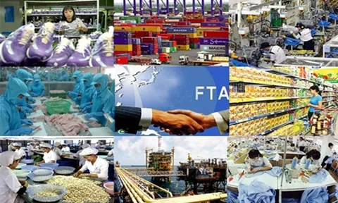 Các lĩnh vực người có chức vụ thuộc Bộ Công Thương sau khi thôi chức không được thành lập doanh nghiệp