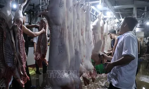 Rà soát lại toàn bộ hệ thống quản lý an toàn thực phẩm từ sản xuất đến tiêu dùng