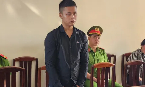 Nam thanh niên lĩnh án tù vì sử dụng bằng lái xe giả gây tai nạn chết người