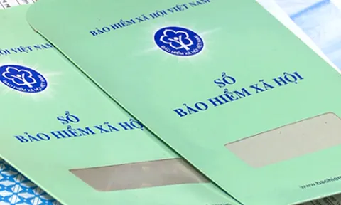 Lao động thử việc có phải đóng bảo hiểm xã hội?