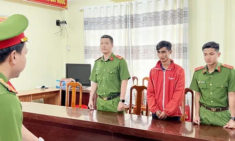 An Giang: Khởi tố, bắt tạm giam nhân viên công ty dược tham ô tài sản